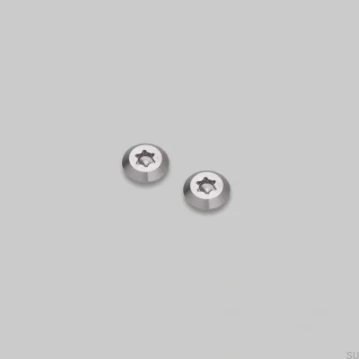 Tornillos decorativos para el marco Detail Linear Silver