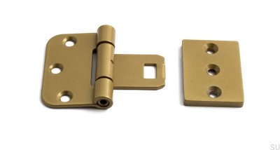 Bisagras simétricas para puertas 2465 Acero Dorado (juego de 2)