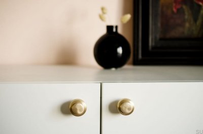 Pomo para mueble Colgador de pared Hip 30 Latón cepillado Sin pintar